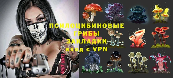 амф Алзамай
